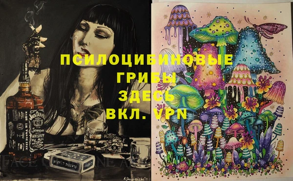эйфоретик Беломорск