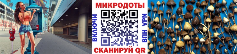 Галлюциногенные грибы GOLDEN TEACHER  Ершов 